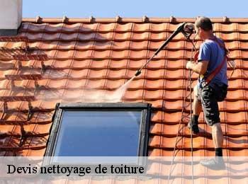 Devis nettoyage de toiture  arbanats-33640 MM Rénovation toiture 33