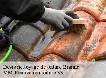 Devis nettoyage de toiture  branne-33420 MM Rénovation toiture 33