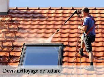 Devis nettoyage de toiture  cadaujac-33140 MM Rénovation toiture 33