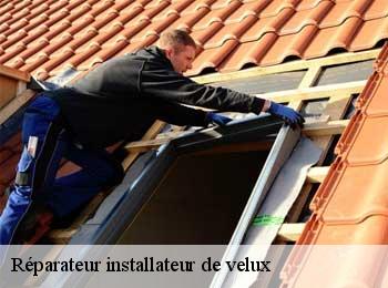 Réparateur installateur de velux  arcachon-33120 MM Rénovation toiture 33