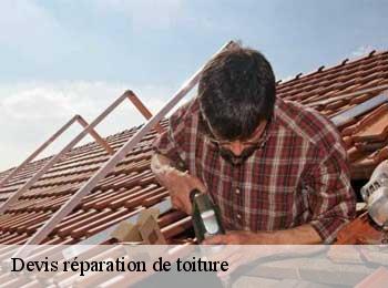 Devis réparation de toiture  aillas-33124 MM Rénovation toiture 33