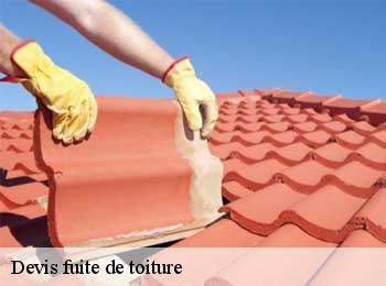 Devis fuite de toiture  bourideys-33113 MM Rénovation toiture 33