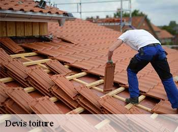 Devis toiture  camps-sur-l-isle-33660 MM Rénovation toiture 33