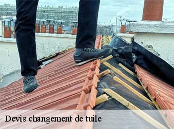 Devis changement de tuile  saint-christoly-medoc-33340 MM Rénovation toiture 33