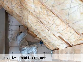 Isolation combles toiture  berthez-33124 MM Rénovation toiture 33