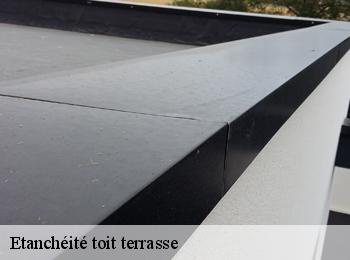 Etanchéité toit terrasse 33 Gironde  MM Rénovation toiture 33